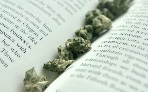 8 Best Books About Weed Culture, Design, and Lifestyle